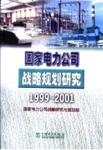 国家电力公司战略规划研究 1999-2001