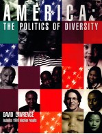 AMERICA:THE POLITICS OF DIVERSTY