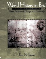 WORLD HISTORY IN BRIEF:MAJOR PATERNS OF CHANGE AND CONTINUITY VOLUME ONE TO 1450 THIRD EDITION