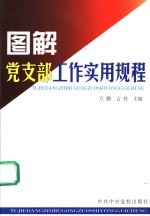 图解党支部工作实用规程