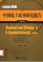 中国电子政务研究报告 2006年 2006