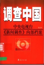 调查中国：中央电视台《新闻调查》内部档案 第5部