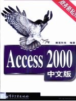 Access 2000中文版