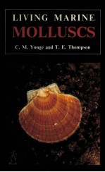 Living marine molluscs