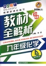 初中教材全解析 化学 九年级 下