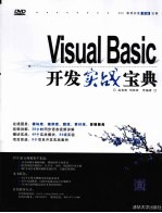 Visual Basic开发实战宝典