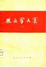 农业学大寨 2