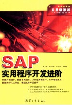 SAP实用程序开发进阶