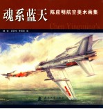 魂系蓝天  陈应明航空美术画集