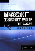 城镇污水厂生物除磷工艺优化理论与实践