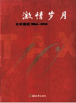 激情岁月 玄武国税1994-2004