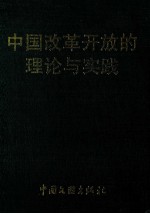 中国改革开放的理论与实践 上