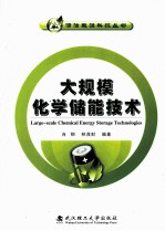 大规模化学储能技术