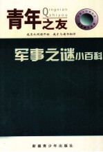 中国小百科全书 军事之谜小百科