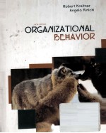 ORGANIZATIONAL BEHAVIOR SIXTH EDITION