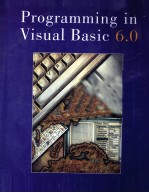 PROGRAMMING IN VISUAL BASIC VERSION 6.0