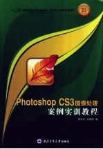 Photoshop CS3图像处理案例实训教程