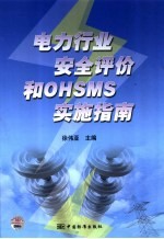 电力行业安全评价和OHSMS实施指南