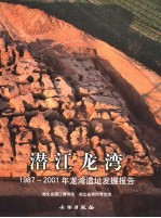 潜江龙湾 1987-2001年龙湾遗址发掘报告 excavation report of the Longwan site 1987-2001