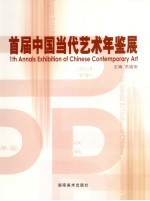 首届中国当代艺术年鉴展 当代视象 为收藏家办的展览