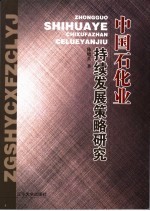 中国石化业持续发展策略研究