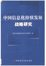 中国信息化持续发展战略研究