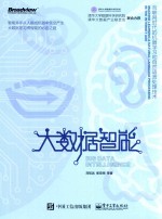 大数据智能 互联网时代的机器学习和自然语言处理技术