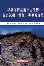 环渤海湾盆地下古生界混合沉积 特征、类型及环境