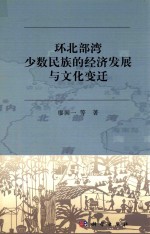 环北部湾少数民族的经济发展与文化变迁