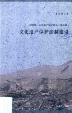 新视野·文化遗产保护论丛  文化遗产保护法制建设