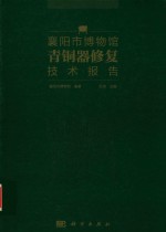 襄阳市博物馆青铜器修复技术报告