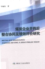 煤炭企业并购后整合协同及绩效评价研究