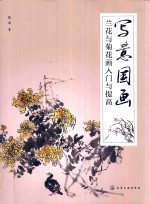 写意国画 兰花与菊花画入门与提高