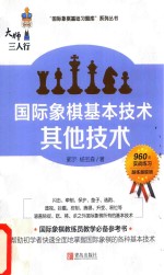 大师三人行 国际象棋基本技术 其他技术