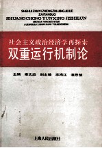 双重运行机制论 社会主义政治经济学再探索