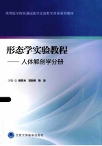 形态学实验教程 人体解剖学分册