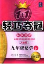 新课标 1+1轻巧夺冠·同步讲解 化学 九年级 下 人教版