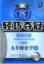 1+1轻巧夺冠·优化训练 化学 九年级 下 新课标人教版