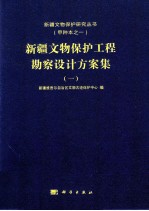 新疆文物保护工程勘察设计方案集 1