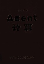 Agent计算