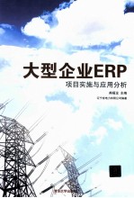 大型企业ERP项目实施与应用分析