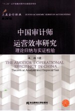 中国审计师运营效率研究理论归纳与实证检验