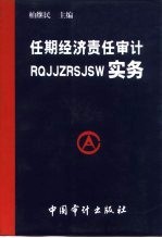 任期经济责任审计实务