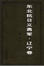 东北抗日义勇军  辽宁卷  下