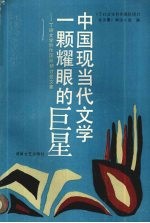 中国现当代文学一颗耀眼的巨星 丁玲文学创作国际研讨会文集