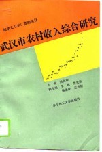 武汉市农村收入综合研究