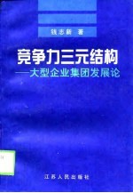 竞争力三元结构 大型企业集团发展论