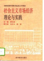 社会主义市场经济理论与实践