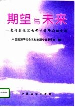 期望与未来 农村能源发展研究青年论坛文选