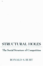 STURCTURAL HOLES